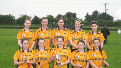 CLONDUFF MINORS ARE FEIS SEVENS CHAMPS 2007