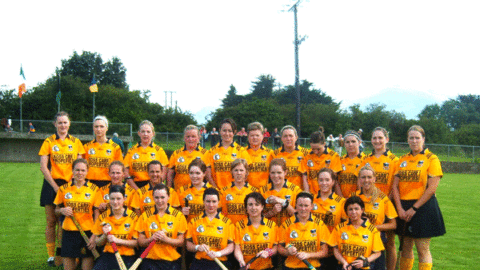 SENIOR CAMOGIE CHAMPIONS 2007