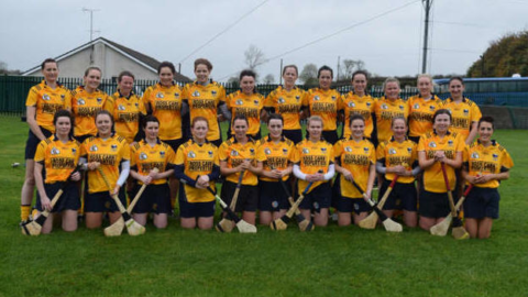 SECOND HALF DISPLAY EARNS CAMOGS A REPLAY