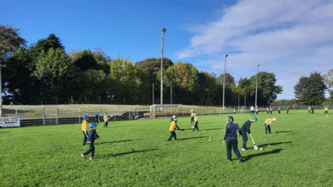 P5 HURLING AND CAMOGIE COACHING IN ST PATRICK’S 2021