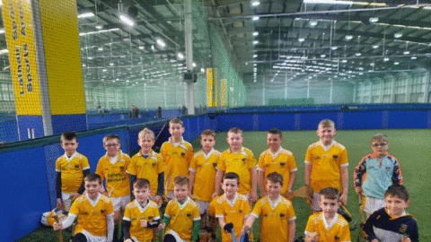 U9 HURLERS 2022 – FIRST OUTING OF YEAR IN DKIT