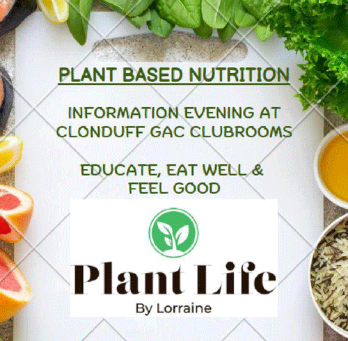 PLANT BASED NUTRITION INFORMATION EVENING