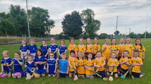 P2 AND P3 CAMOGS 2023