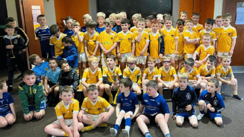 U8 FOOTBALLERS ENTERTAIN LOUGHINISLAND U8s