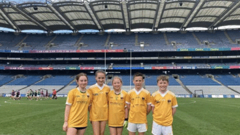 DOWN GAA U12 ACTIVITY DAY IN CROKE PARK 2024