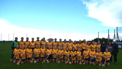 CLONDUFF 10TH COUNTY SENIOR CAMOGIE TITLE