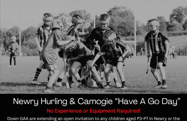 HURLING/CAMOGIE ‘HAVE A GO DAY’ 2025