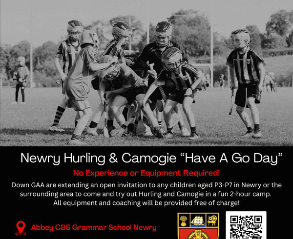 HURLING/CAMOGIE ‘HAVE A GO DAY’ 2025