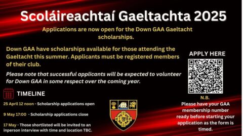 DOWN GAA GAELTACHT SCHOLARSHIPS 2025