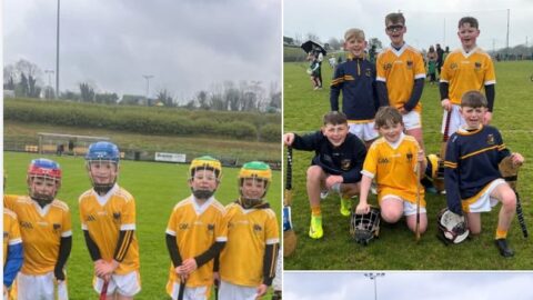 DOWN REGIONAL HURLING BLITZ IN CLONDUFF