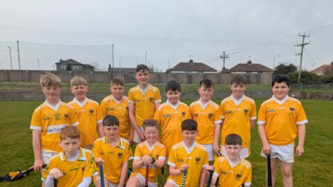 FIRST OUTING OF YEAR FOR U12 HURLERS