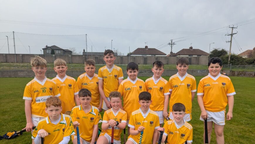 FIRST OUTING OF YEAR FOR U12 HURLERS