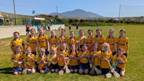 MINI CAMOGIE BLITZ IN ATTICALL