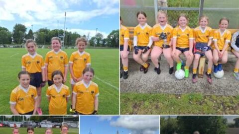 U8 and U10 LGFA GO GAMES IN CLONDUFF